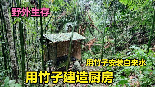 森林生存无广吿免费下载-森林生存免广告下载v.6.16