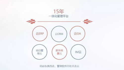 定制化的CRM管理系统软件开发服务，助力企业实现高效客户关系管理