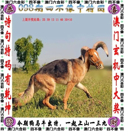 2024年四不像图库|探索世界的未知奥秘_竞技型.3.236